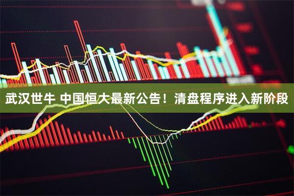 武汉世牛 中国恒大最新公告！清盘程序进入新阶段