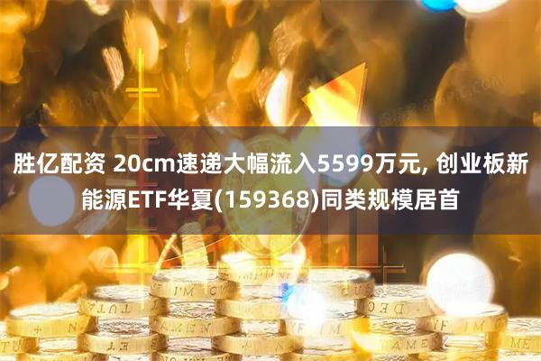 胜亿配资 20cm速递大幅流入5599万元, 创业板新能源ETF华夏(159368)同类规模居首